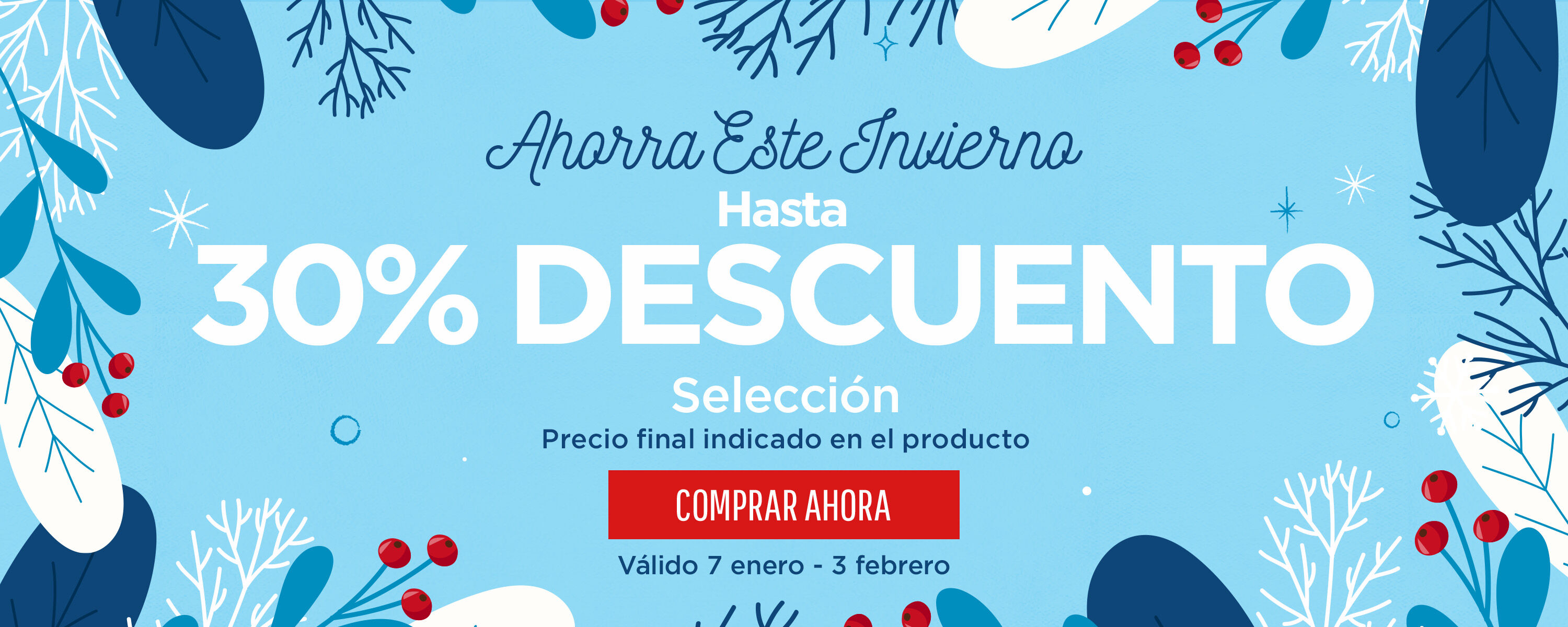 Winter Sale Hero Banner South